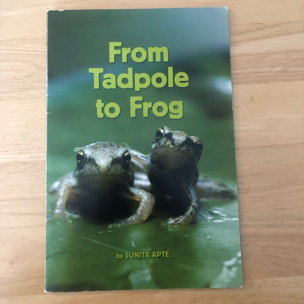 From tadpole to frog book
